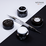 PAINT GEL