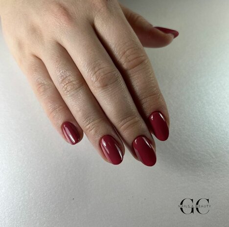 FULL GEL ARTIST | Juni - beginners 