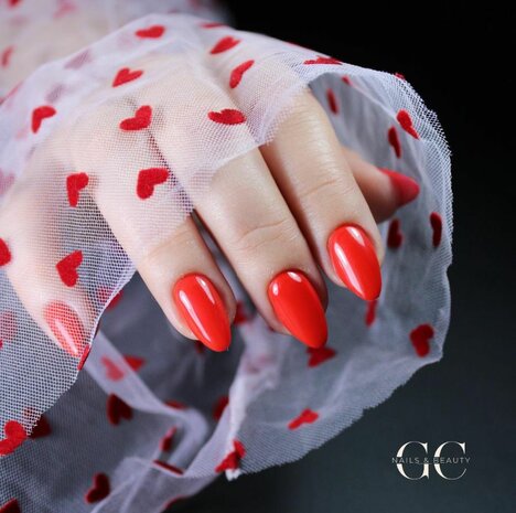 FULL GEL ARTIST | Juni - beginners 
