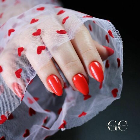FULL GEL ARTIST | zomer