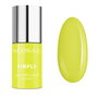 SIMPLE - Sunny 