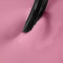 Stellar Pink