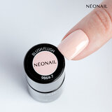 Blush Flush_