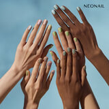 COLOR ME UP COLLECTION_
