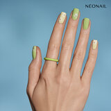 COLOR ME UP COLLECTION - PASTELS_