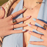 Festival Collection 2025_