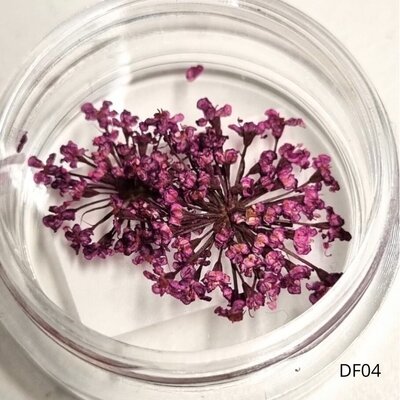 Dried Flowers DF04